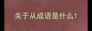 关于从成语是什么
