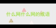 什么网什么网的成语