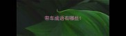 带车成语有哪些