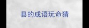 县的成语玩命猜