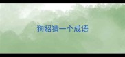 狗貂猜一个成语