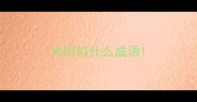 光阴似什么成语
