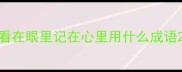 看在眼里记在心里用什么成语