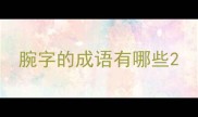 腕字的成语有哪些
