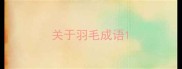 关于羽毛成语