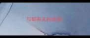 与貂有关的成语