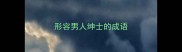 形容男人绅士的成语