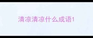 清凉清凉什么成语