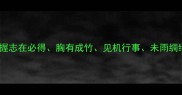四字成语高效记忆指南掌握志在必得胸有成竹见机行事未雨绸缪四大核心成语的实用技巧