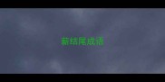 薪结尾成语