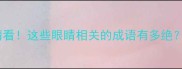 猜猜看这些眼睛相关的成语有多绝