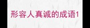 形容人真诚的成语