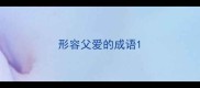 形容父爱的成语