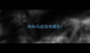 狗和马成语有哪些