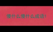 傻什么傻什么成语