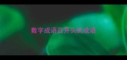 数字成语百开头的成语