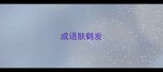 成语肤鹤发