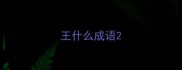 王什么成语
