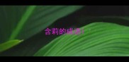 含莉的成语