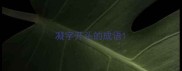 凝字开头的成语