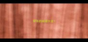 带冬的成语大全