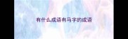 有什么成语有马字的成语