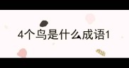 4个鸟是什么成语