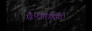 造化的成语
