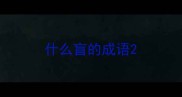 什么盲的成语