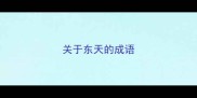 关于东天的成语