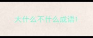 大什么不什么成语