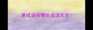 裏成语有哪些成语大全
