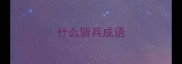 什么皆兵成语