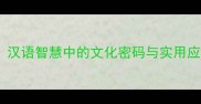 成语无所不在汉语智慧中的文化密码与实用应用附深度