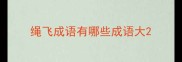绳飞成语有哪些成语大