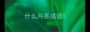 什么月亮成语