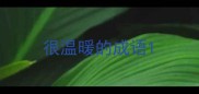 很温暖的成语