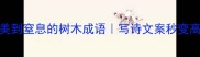 30个美到窒息的树木成语写诗文案秒变高级感