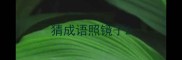 猜成语照镜子