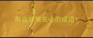 形容非常关心的成语