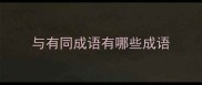 与有同成语有哪些成语