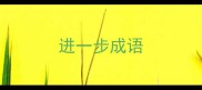 进一步成语