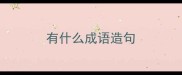 有什么成语造句