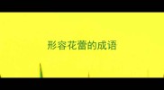 形容花蕾的成语