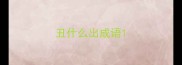 丑什么出成语