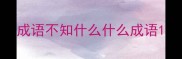 成语不知什么什么成语