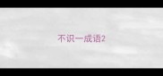 不识一成语