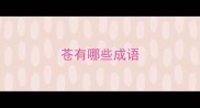 苍有哪些成语