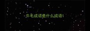 牛毛成语是什么成语