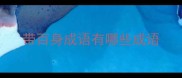 带百身成语有哪些成语
